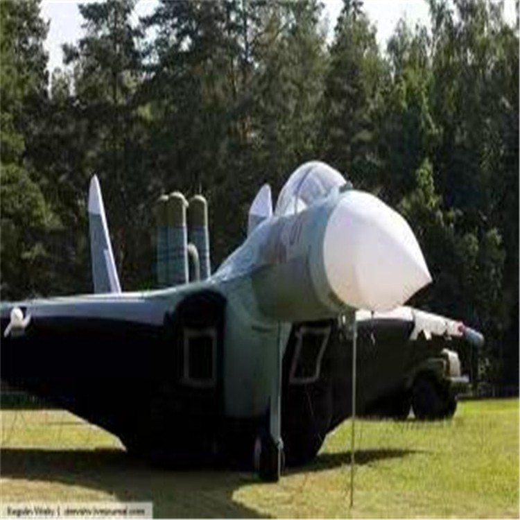 景泰充气模型飞机制造商家